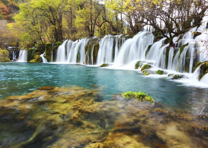 219261460_1916231125209145_3648356651416187688_n (1)