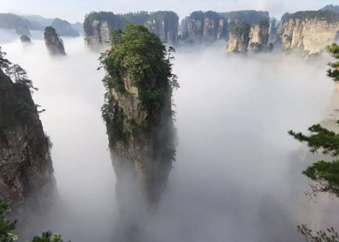 535494201_2393161207769269_478930586031424210_n