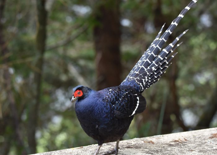 565702521_1198725465617889_2865217403349553933_n